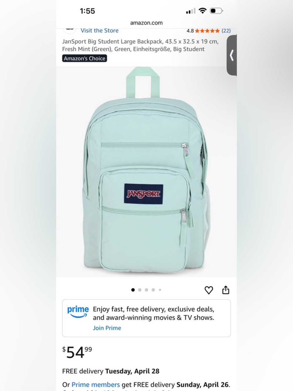 JanSport Large Backpack - Picture 4 of 4